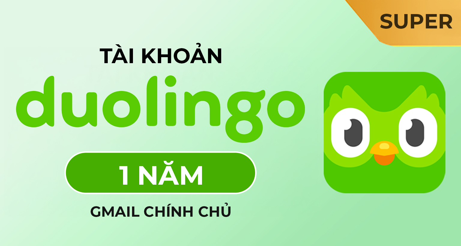 Duolingo Super Giá Rẻ 1 Năm